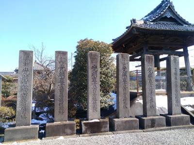 琴寄山 阿弥陀院 善定寺,見どころ,ふくちゃん
