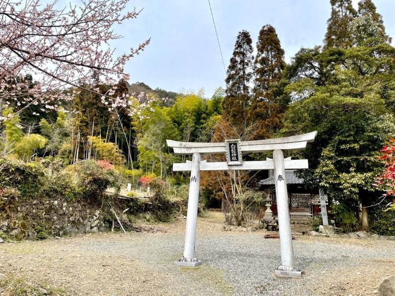 白髭神社  (大野町牛洞),岐阜県揖斐郡大野町牛洞94番地