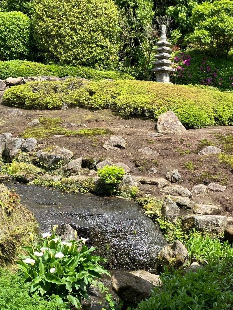 海蔵寺,神奈川県鎌倉市扇ガ谷4-18−8