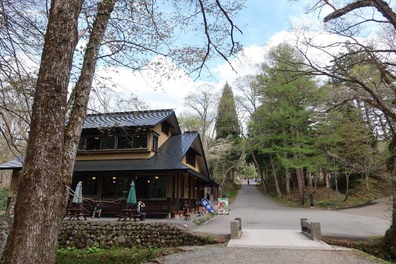 戸隠神社 九頭龍社,長野県長野市戸隠3690