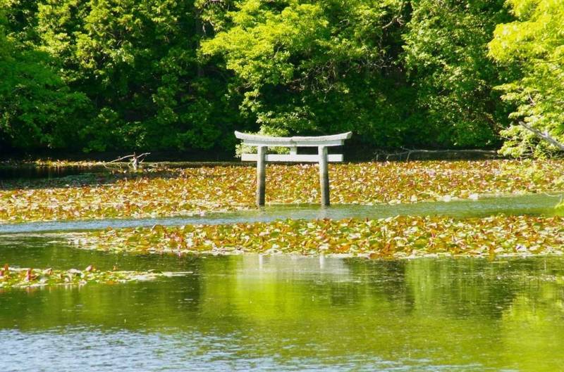 八幡神社    (水口町名坂寺田),滋賀県甲賀市水口町名坂寺田