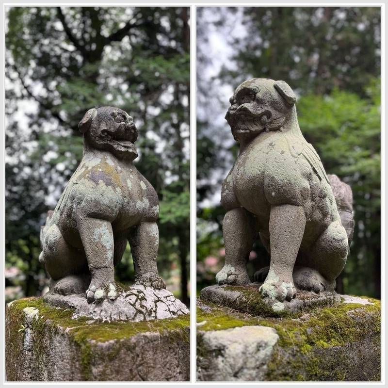 小藤神社,栃木県佐野市中町449