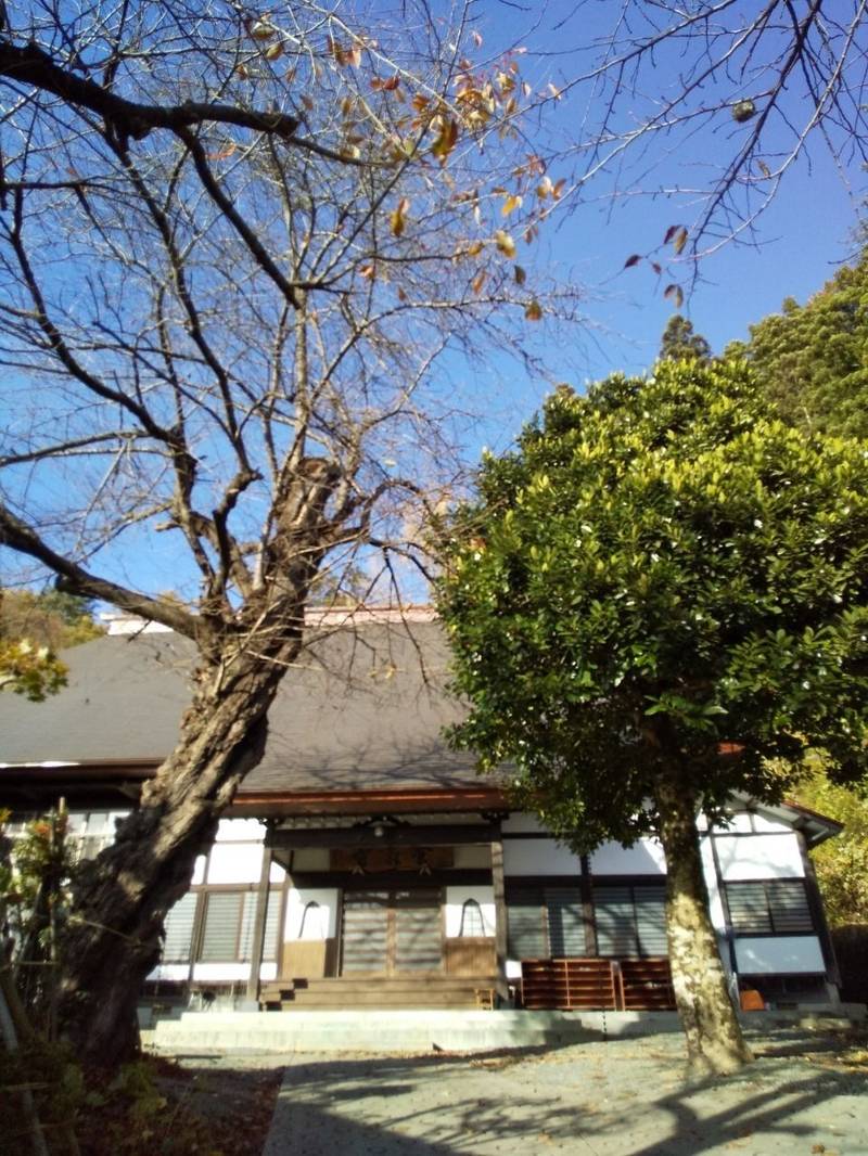 養泉寺,山形県東根市関山1686