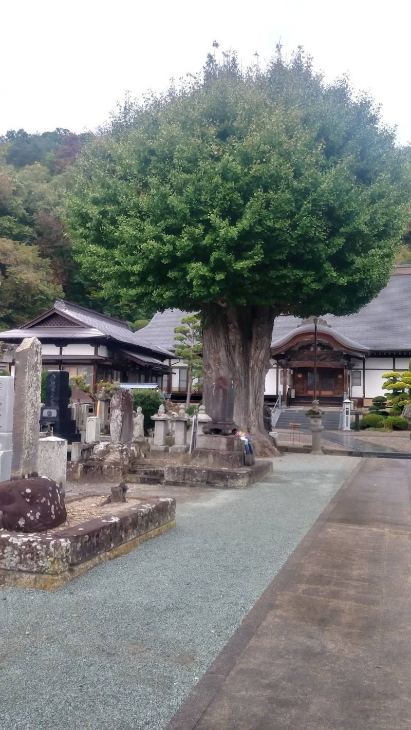 長龍寺,山形県天童市奈良沢甲58