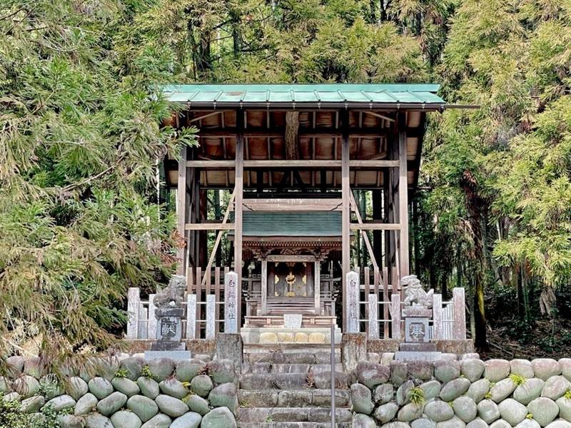白髭神社  (大野町牛洞)の見どころ
