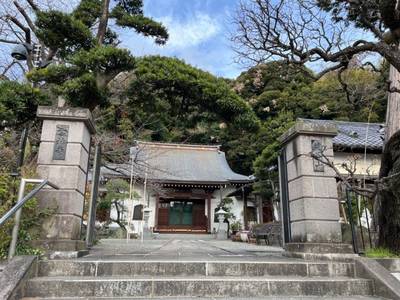 雲林寺,見どころ,ほし