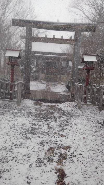 伊太祁曽神社,見どころ,流離う風