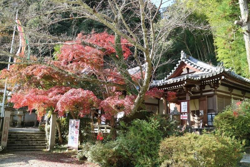 松尾寺 御朱印 大和郡山市 奈良県 Omairi おまいり