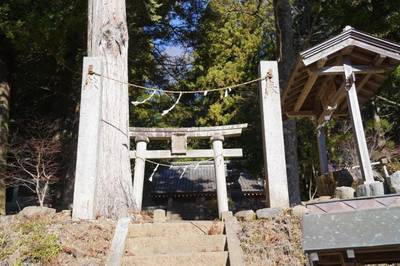 子神社   (藤沢の大杉),見どころ,竹蔵