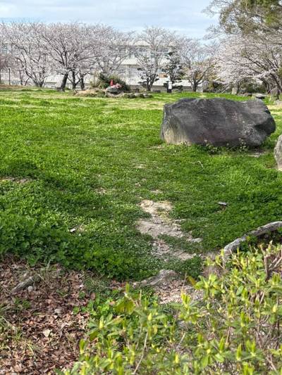 柳川城,見どころ,sasaki3