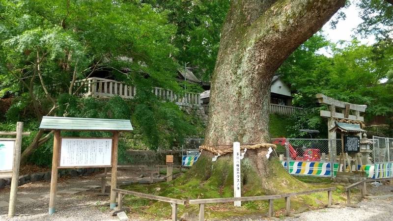 事任八幡宮,静岡県掛川市八坂642