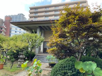 平尾山 東光寺,見どころ,とと