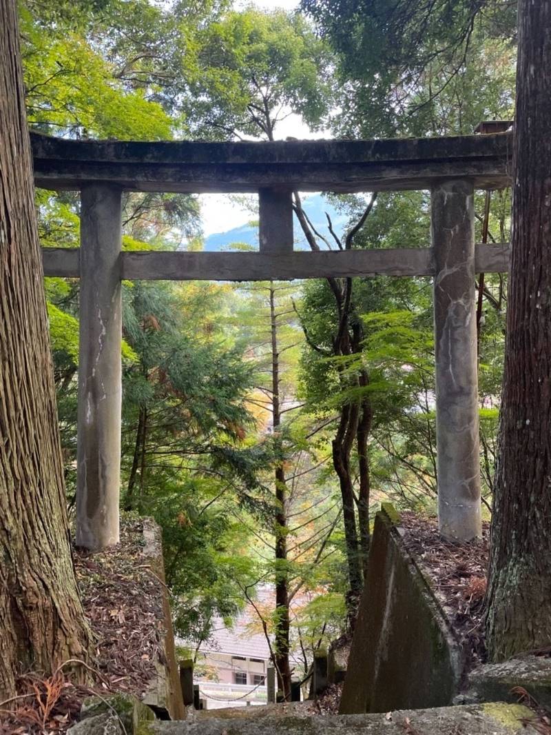 八幡神社,愛媛県上浮穴郡久万高原町渋草667