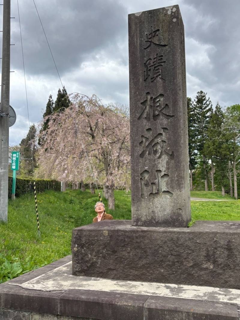 根城,青森県八戸市白山台字根城47