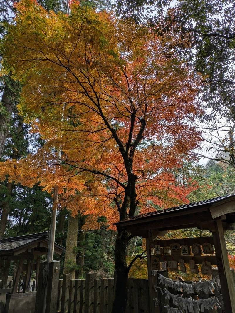 九頭龍神社,東京都西多摩郡檜原村数馬7076
