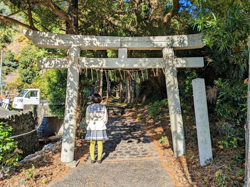 日枝神社,静岡県静岡市駿河区小坂 １４３３－２