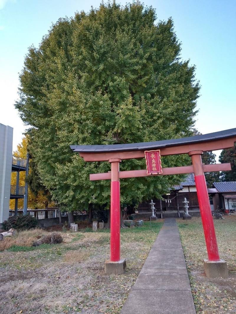 長良神社 (青柳町) 館林市/群馬県 Omairi(おまいり)