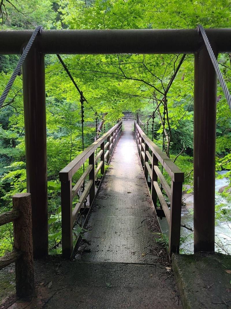 羅漢寺,山梨県甲斐市吉沢４８３５