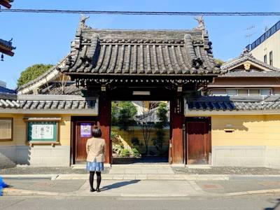 圓妙寺 (大阪市中央区),見どころ,平沢凛