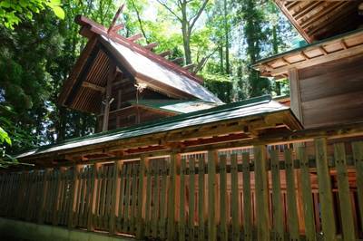 扇田神明社,見どころ,しあわせの碧鳥