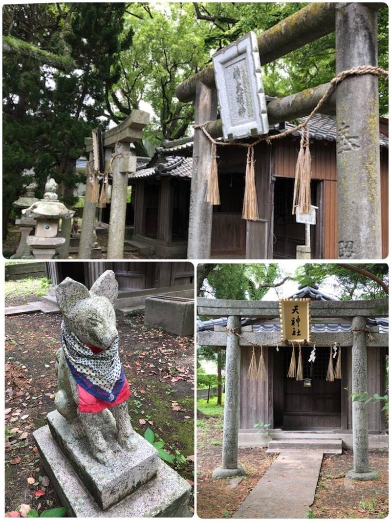 大麻比古神社 徳島市/徳島県 Omairi(おまいり)