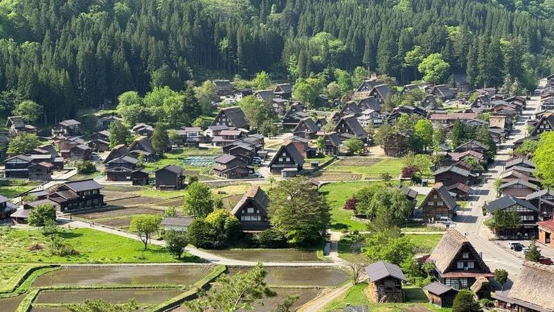 明善寺,岐阜県大野郡白川村荻町679
