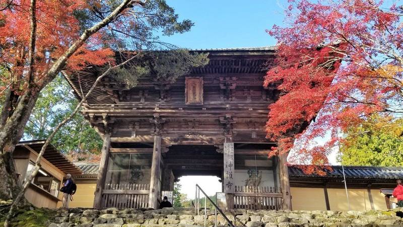 神護寺,京都府京都市右京区梅ケ畑高雄町5