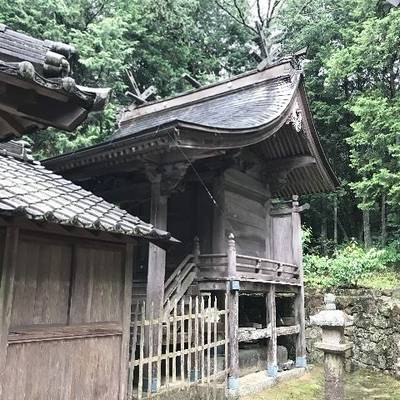 姫社神社,見どころ,Y.Shiraga