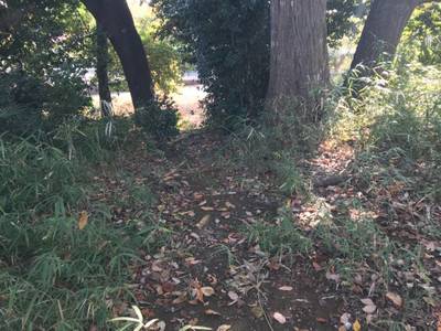 赤松稲荷大明神跡   (下作延稲荷塚古墳),見どころ,