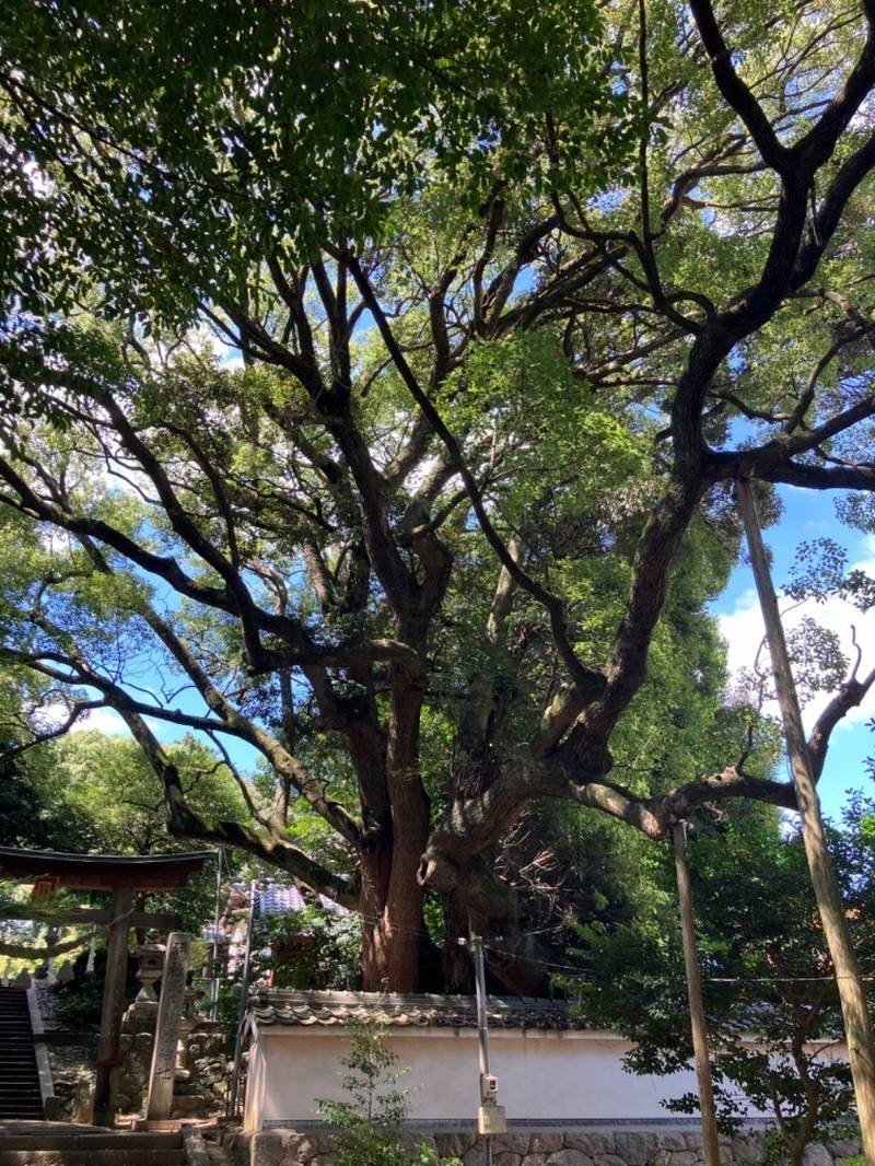 御津神社,愛知県豊川市御津町広石祓田70