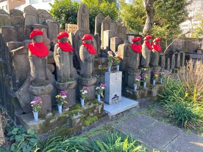 南蔵院,見どころ,船橋大明神