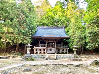 豊田市の御朱印・神社・お寺 人気ランキング2023 (26位~50位)