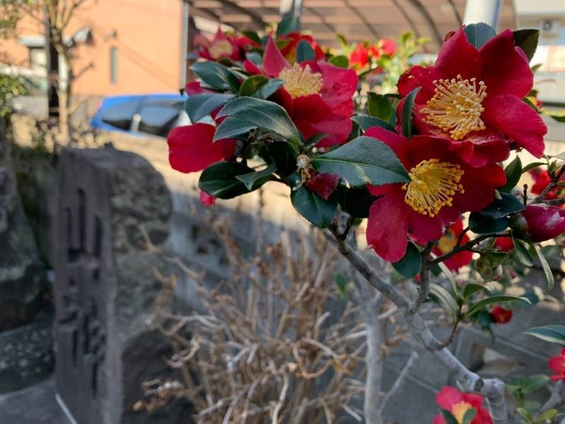 保春院,宮城県仙台市若林区保春院前丁50