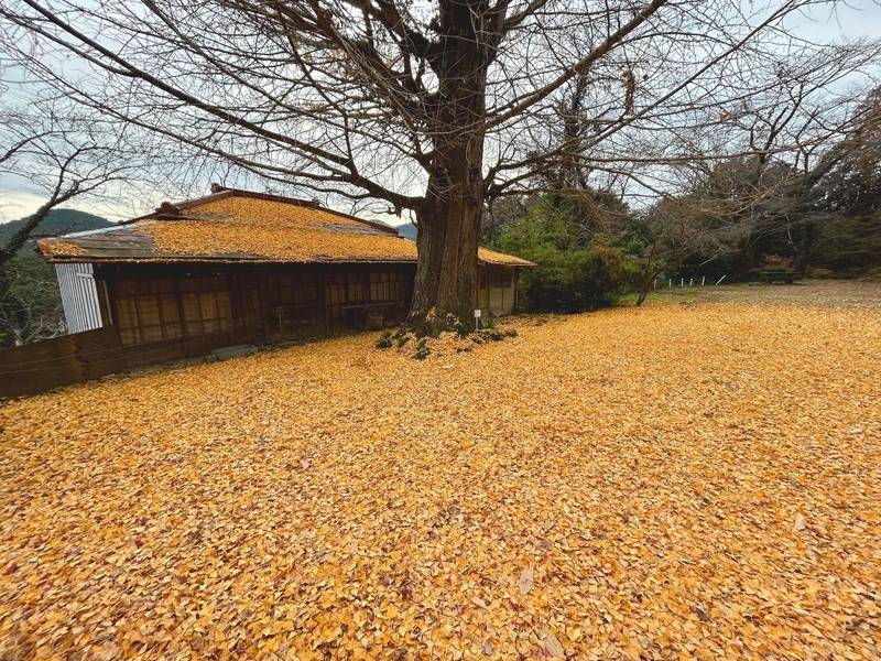 弘法山観音堂,埼玉県入間郡越生町成瀬287