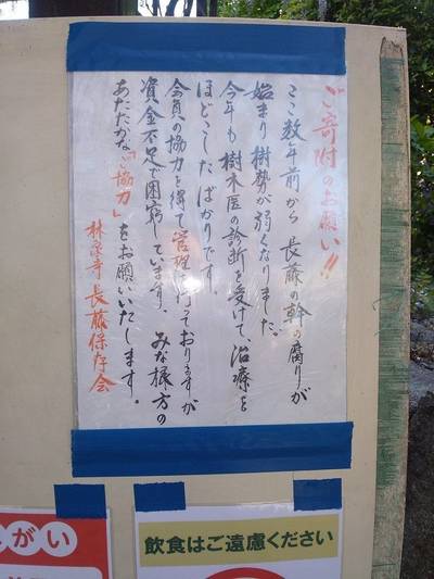 林泉寺,見どころ,すっとびの韋駄天