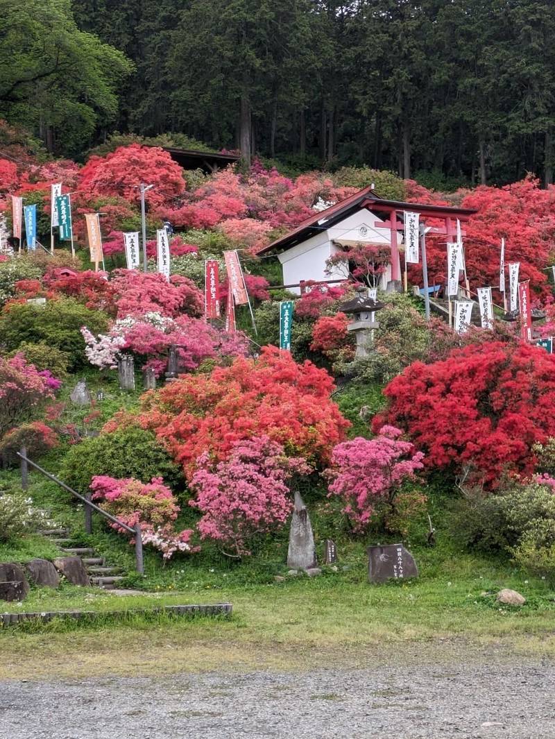 越生総社春日神社,埼玉県入間郡越生町大字西和田317