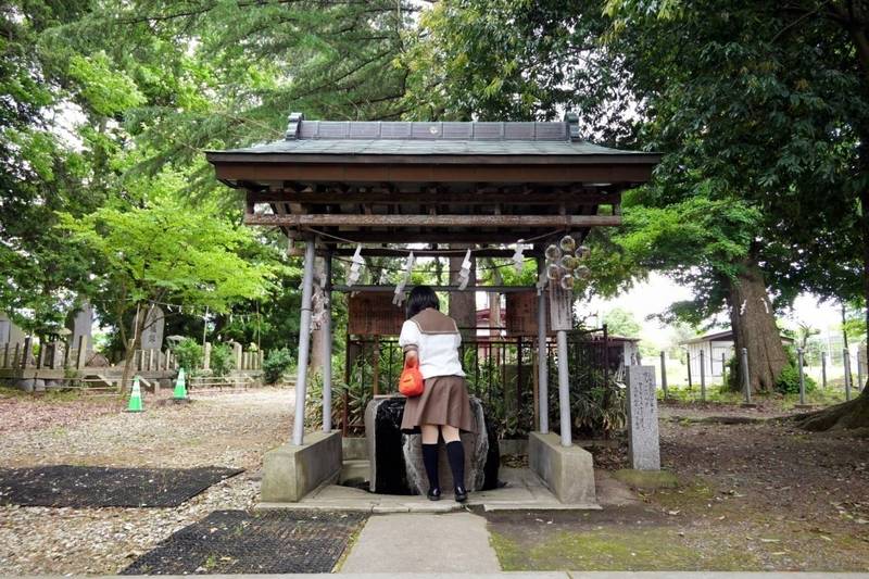 清池八幡神社,山形県天童市大字清池字村西1725