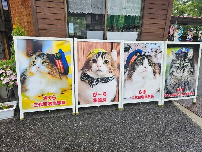 会津鉄道神社,福島県会津若松市大戸町上三寄乙49(芦ノ牧温泉駅)