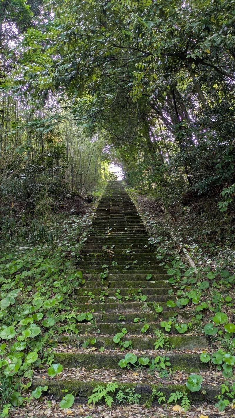 蓮台寺,島根県出雲市斐川町三絡3324