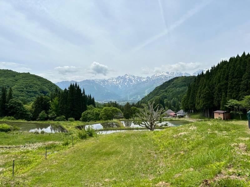 青鬼神社,長野県北安曇郡白馬村北城１７４４６