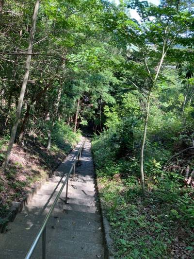 冠嶺神社,見どころ,waiwai