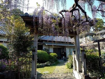 林泉寺,見どころ,すっとびの韋駄天