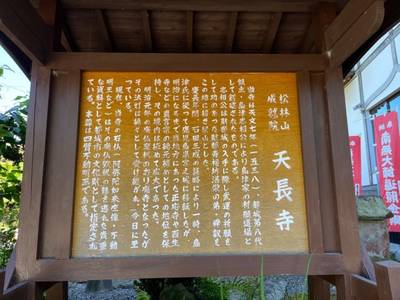 天長寺,見どころ,ひまわり