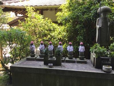 蓮生寺,見どころ,rinrin