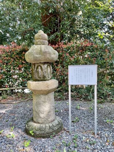 龍見寺,見どころ,vasek