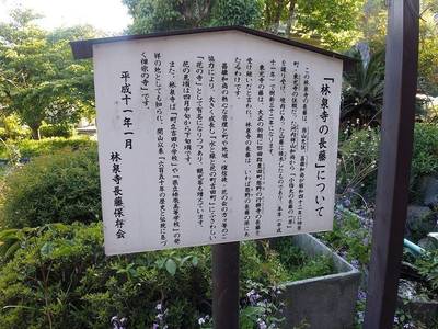 林泉寺,見どころ,すっとびの韋駄天
