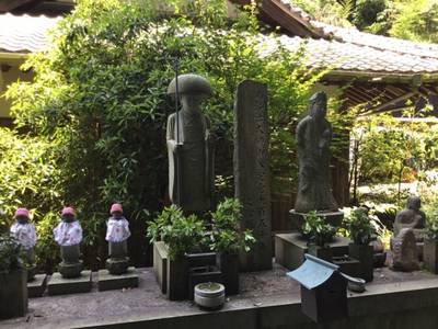 蓮生寺,見どころ,rinrin