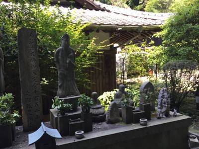 蓮生寺,見どころ,rinrin