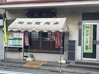 如意輪観世音堂   (昭和観音),見どころ,you