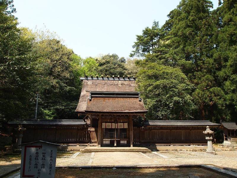 若狭彦神社 上社の見どころ